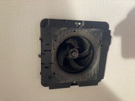 image0-2025-12-20T165852.230