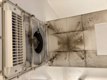 image1-2025-10-22T164222.346