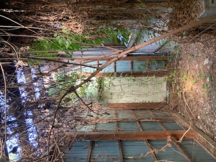 image1-2025-10-28T192530.143