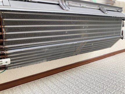 image1-2025-11-03T165217.498