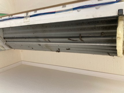 image1-2025-11-05T174429.061