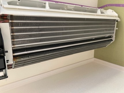 image1-2025-11-05T174455.509