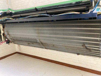 image1-2025-11-05T174527.540