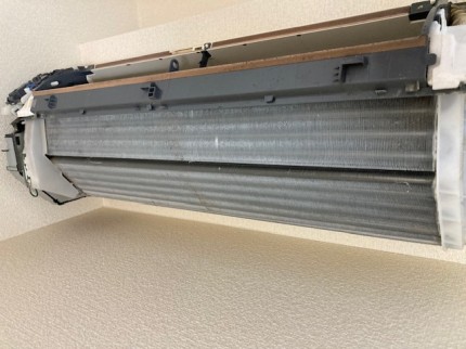 image1-2025-11-05T174556.564