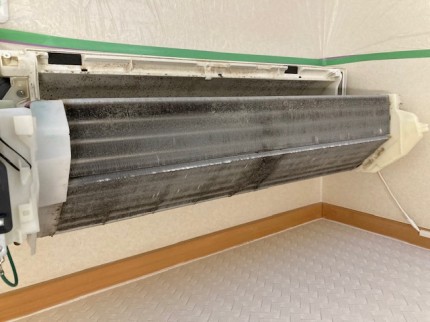 image1-2025-11-09T145059.263