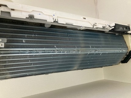 image1-2025-11-18T141959.606