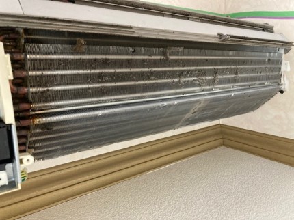 image1-2025-11-23T160206.528