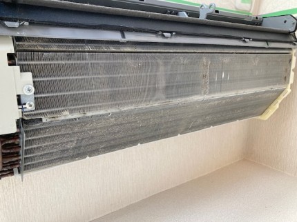 image1-2025-11-24T170725.789