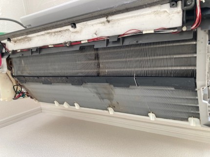 image1-2025-11-28T161705.886