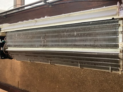 image1-2025-12-03T171423.701