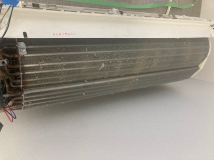 image1-2025-12-08T201155.555