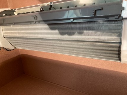 image1-2025-12-09T175441.565