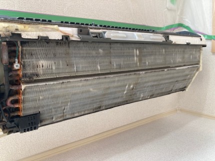 image1-2025-12-15T164107.852