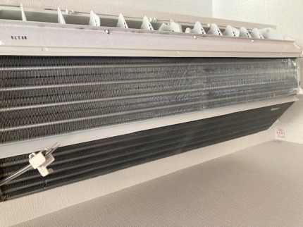 image1-2025-12-16T154559.630