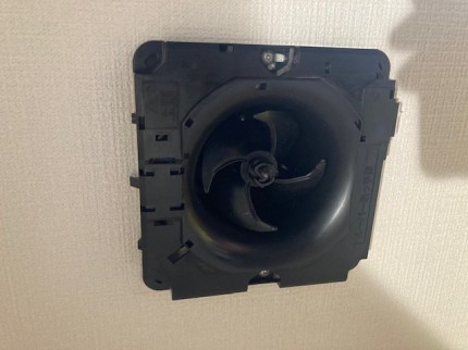 image1-2025-12-20T165858.442