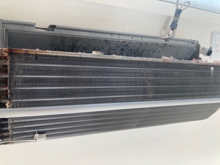 image1-2026-01-09T160541.276