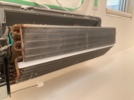 image1-2026-01-09T160613.130