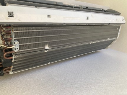 image1-2026-01-12T142645.296