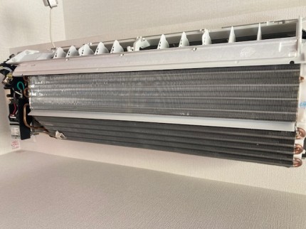 image1-2026-01-13T135915.617