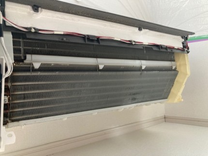 image1-2026-01-21T155720.341