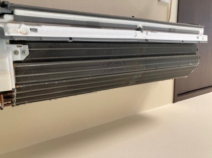 image1-2026-01-24T114811.616