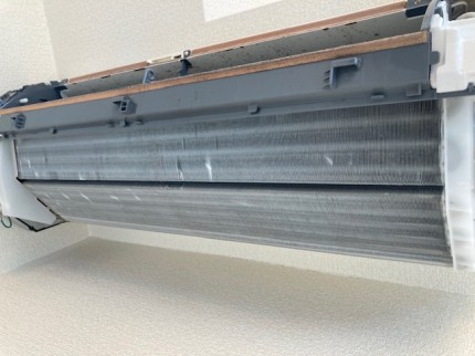 image1-2026-01-29T121657.000