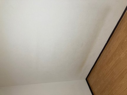 image1-2026-02-03T110239.510