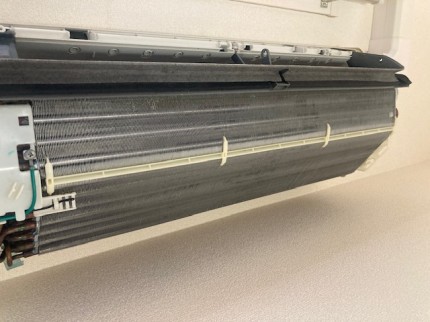 image1-2026-02-07T154826.338