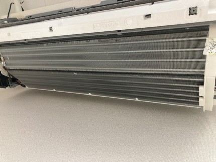 image1-2026-02-13T154620.928