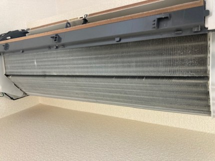 image1-2026-03-01T162608.777