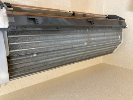 image1-2026-03-03T121306.457