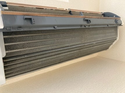 image1-2026-03-18T121511.343