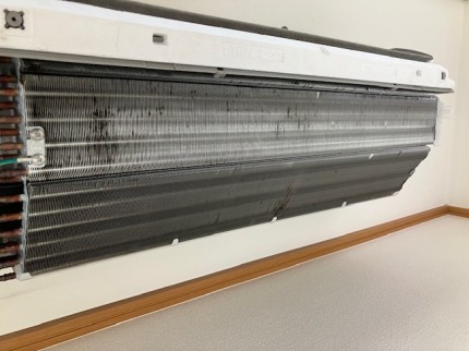 image1-2026-08-08T155043.725