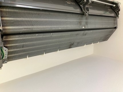 image1-2026-08-21T190916.404