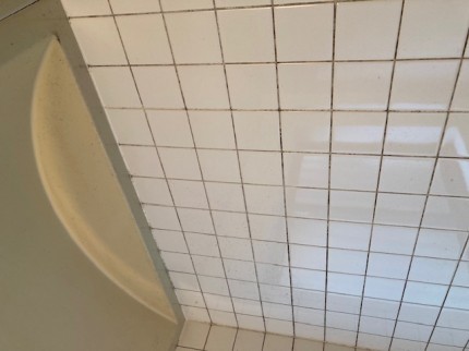 image10-2025-11-11T184817.580