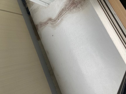 image10-2026-02-13T154641.202