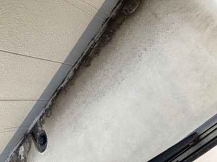 image10-2026-03-03T121328.051