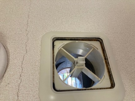 image12-2025-12-06T191230.724