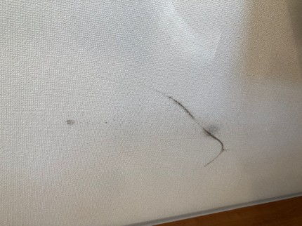 image12-2025-12-17T173617.559