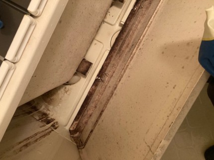 image12-2026-01-17T150635.934