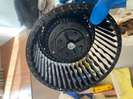 image13-2025-11-29T183759.323