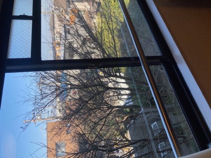 image15-2026-02-14T164545.408