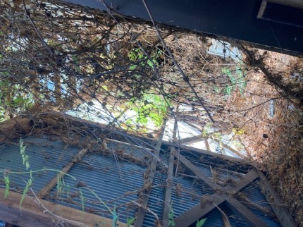 image2-2025-10-28T192541.524