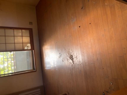 image2-2025-11-02T162942.715