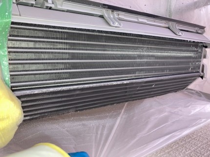 image2-2025-11-03T165220.813