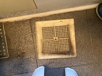 image2-2025-11-11T184738.864