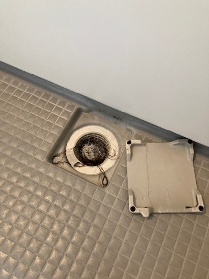 image2-2025-12-15T164210.115-e1765784921385