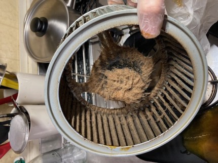 image2-2025-12-15T164256.532