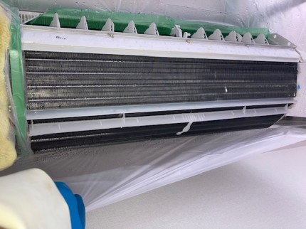 image2-2026-01-21T155814.301