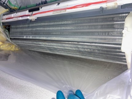 image2-2026-03-12T141327.664